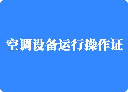 操逼逼视频免费看干制冷工证